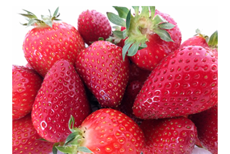 Researchers tout new Lumina strawberry variety - The Packer